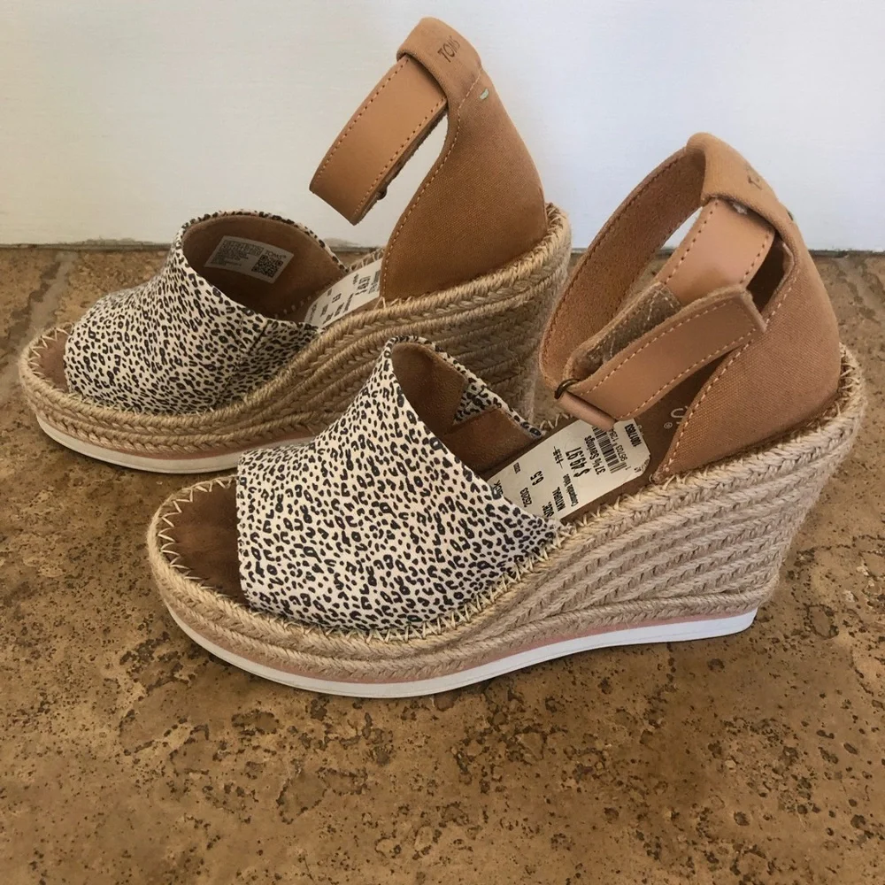 Toms from afternoon